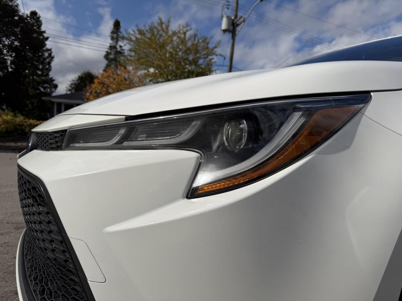 2020 Toyota Corolla LE Hybrid - Photo #6