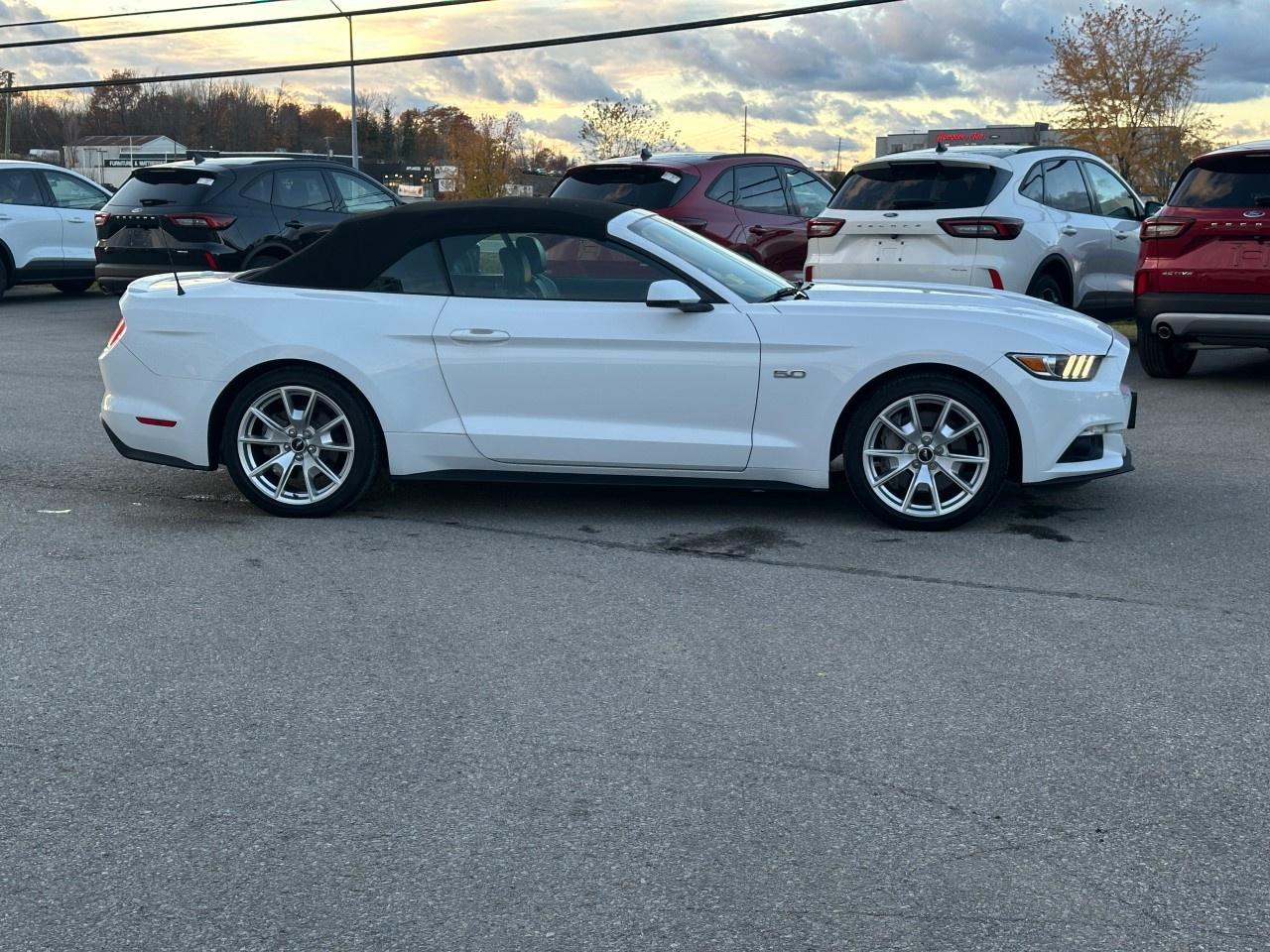 2015 Ford Mustang 2dr Conv GT Premium Photo