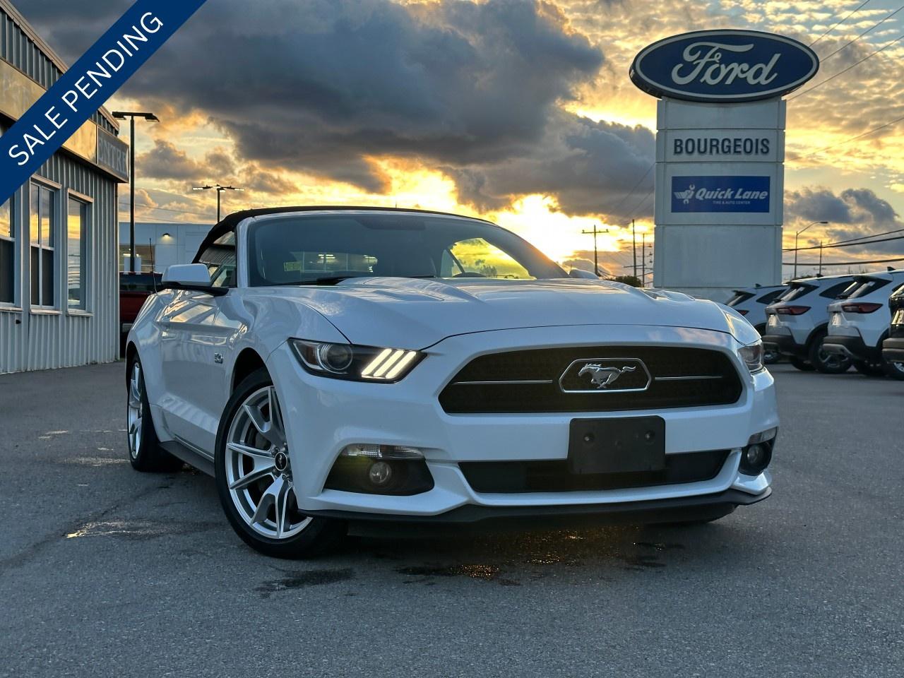 2015 Ford Mustang 2dr Conv GT Premium Photo0