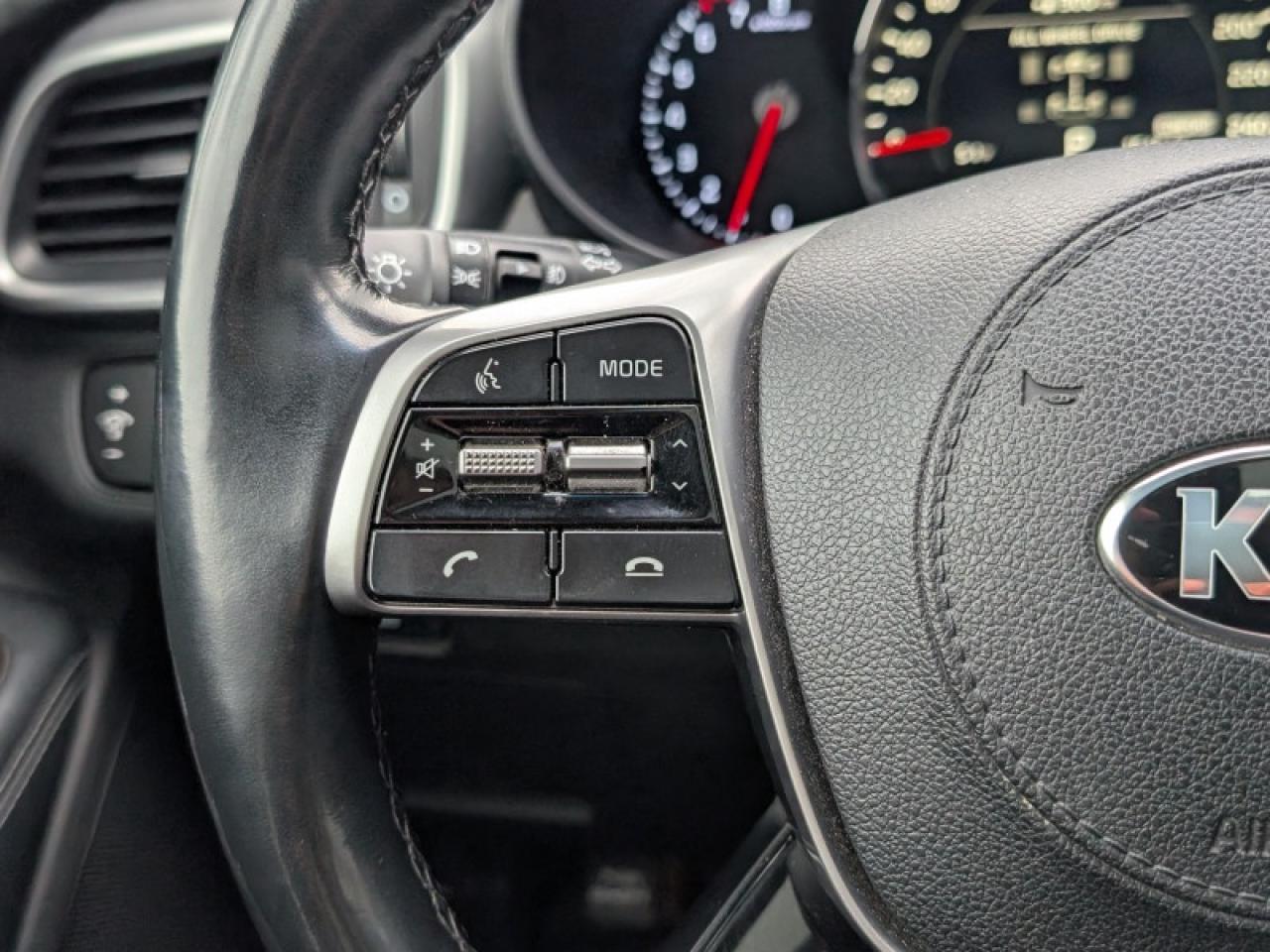 2019 Kia Sorento EX Premium  **17 SERVICE RECORDS** Photo