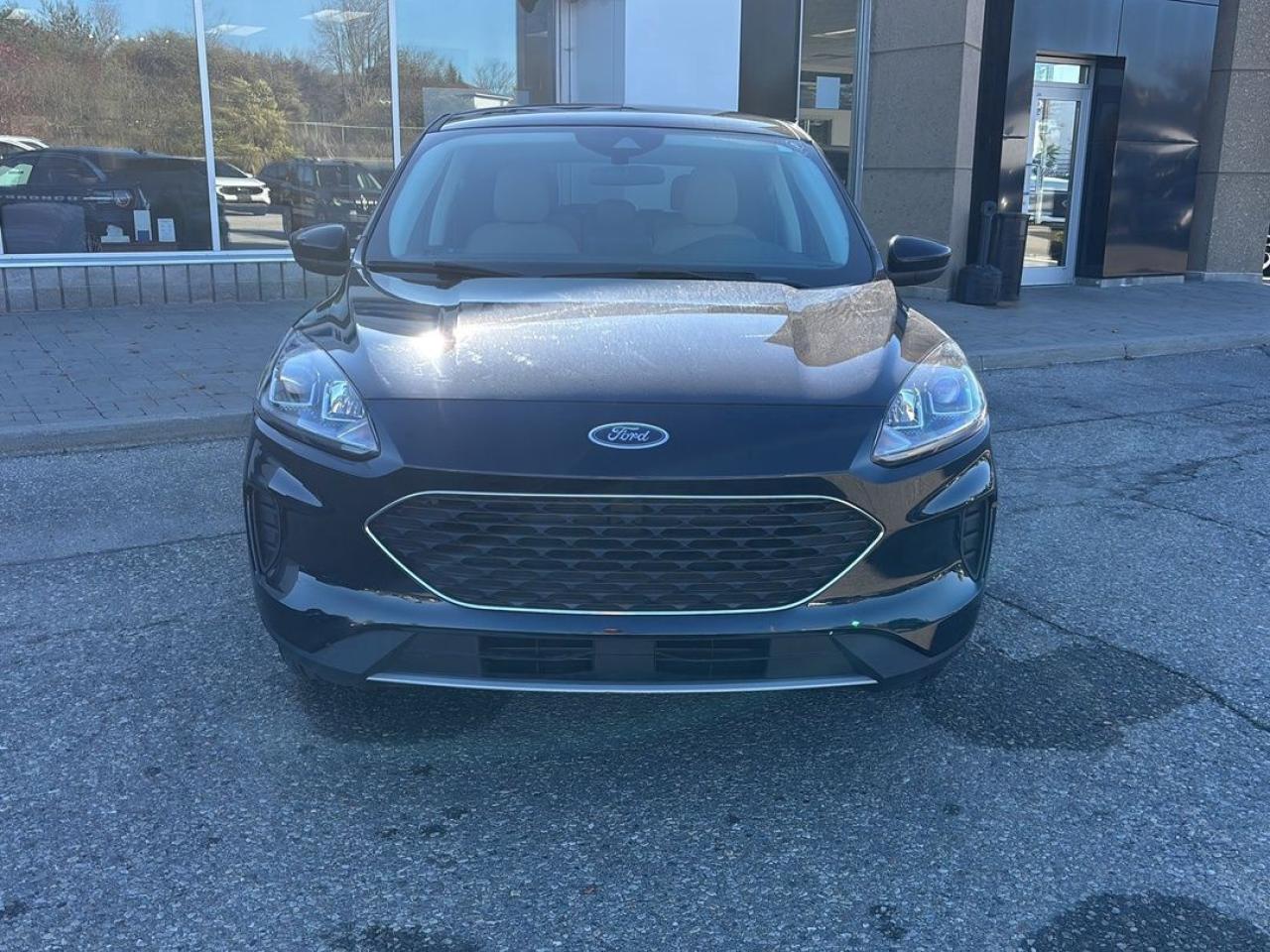 2021 Ford Escape SE Plug-In Hybrid Photo5