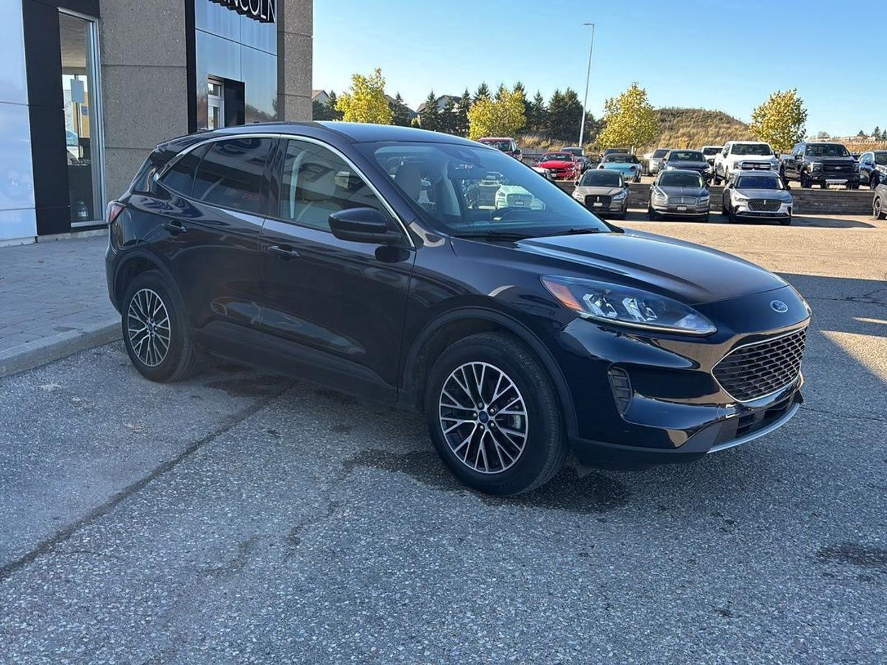 2021 Ford Escape SE, PLUG-IN-HYBRID! REAR CAMERA, REMOTE START! Photo3