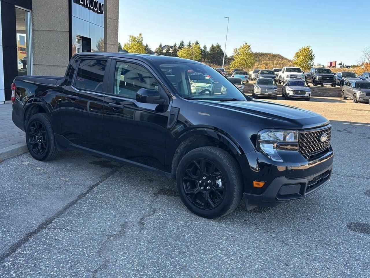 2025 Ford Maverick XLT Photo2