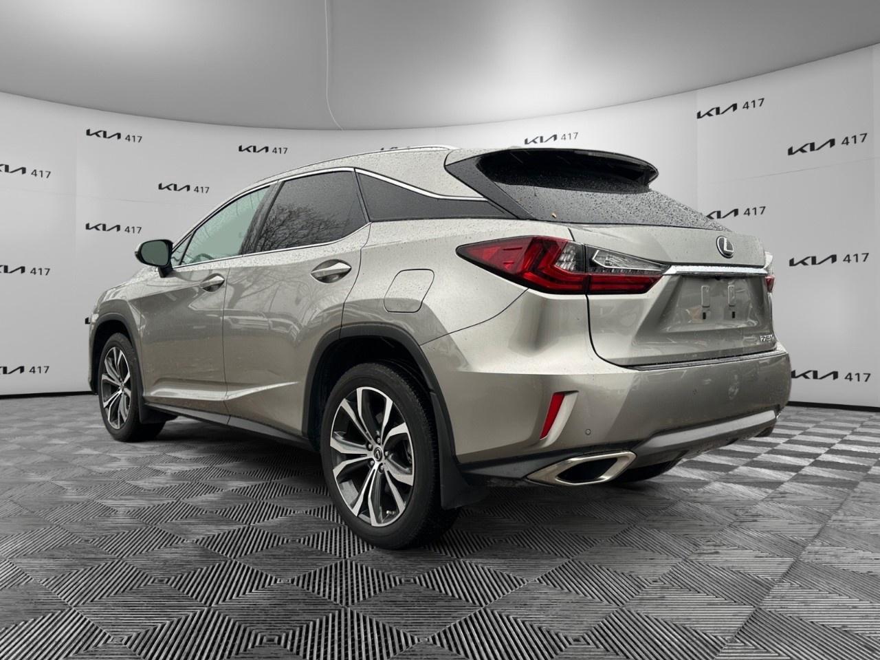 2019 Lexus RX  Photo2
