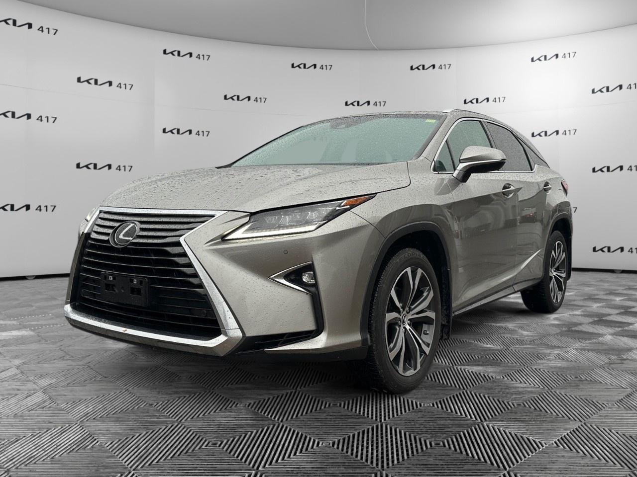 2019 Lexus RX  Photo0
