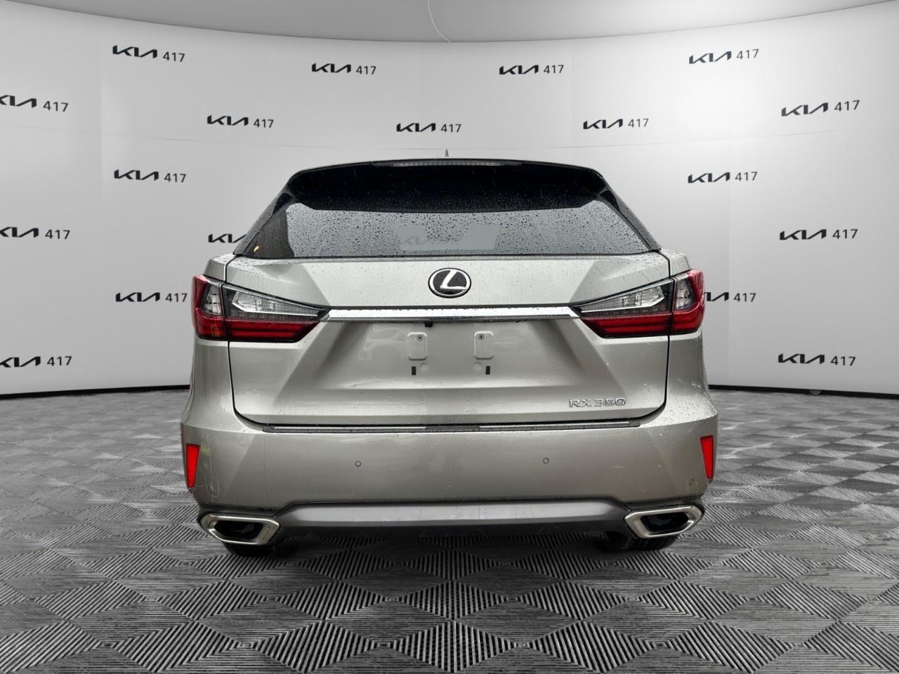 2019 Lexus RX  Photo3