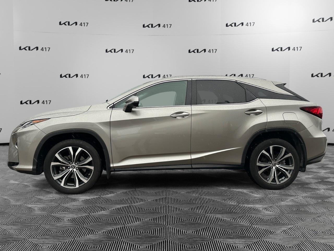 2019 Lexus RX  Photo