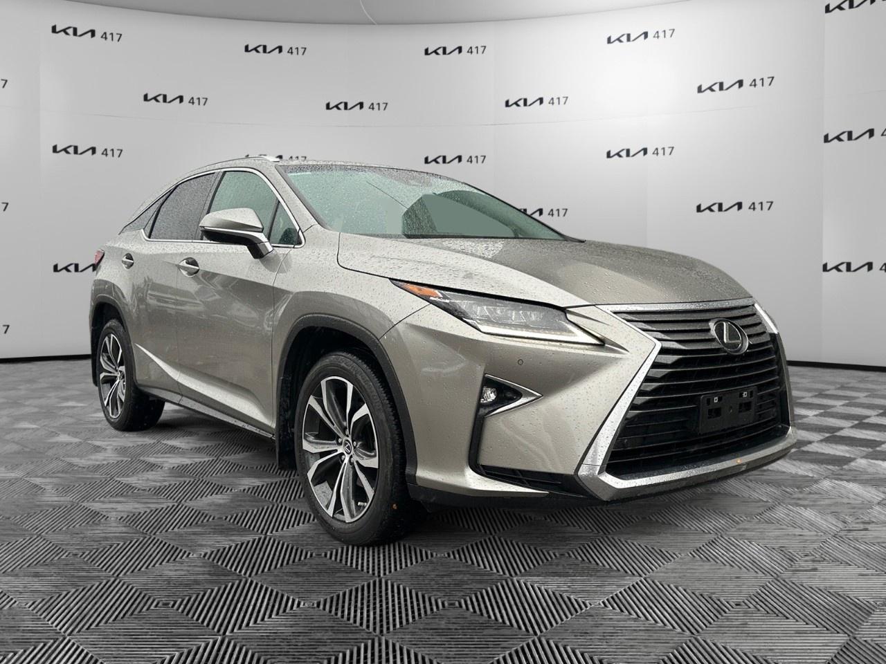 2019 Lexus RX  Photo