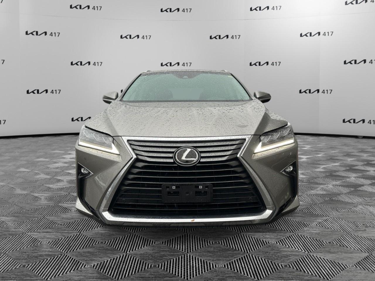 2019 Lexus RX  Photo