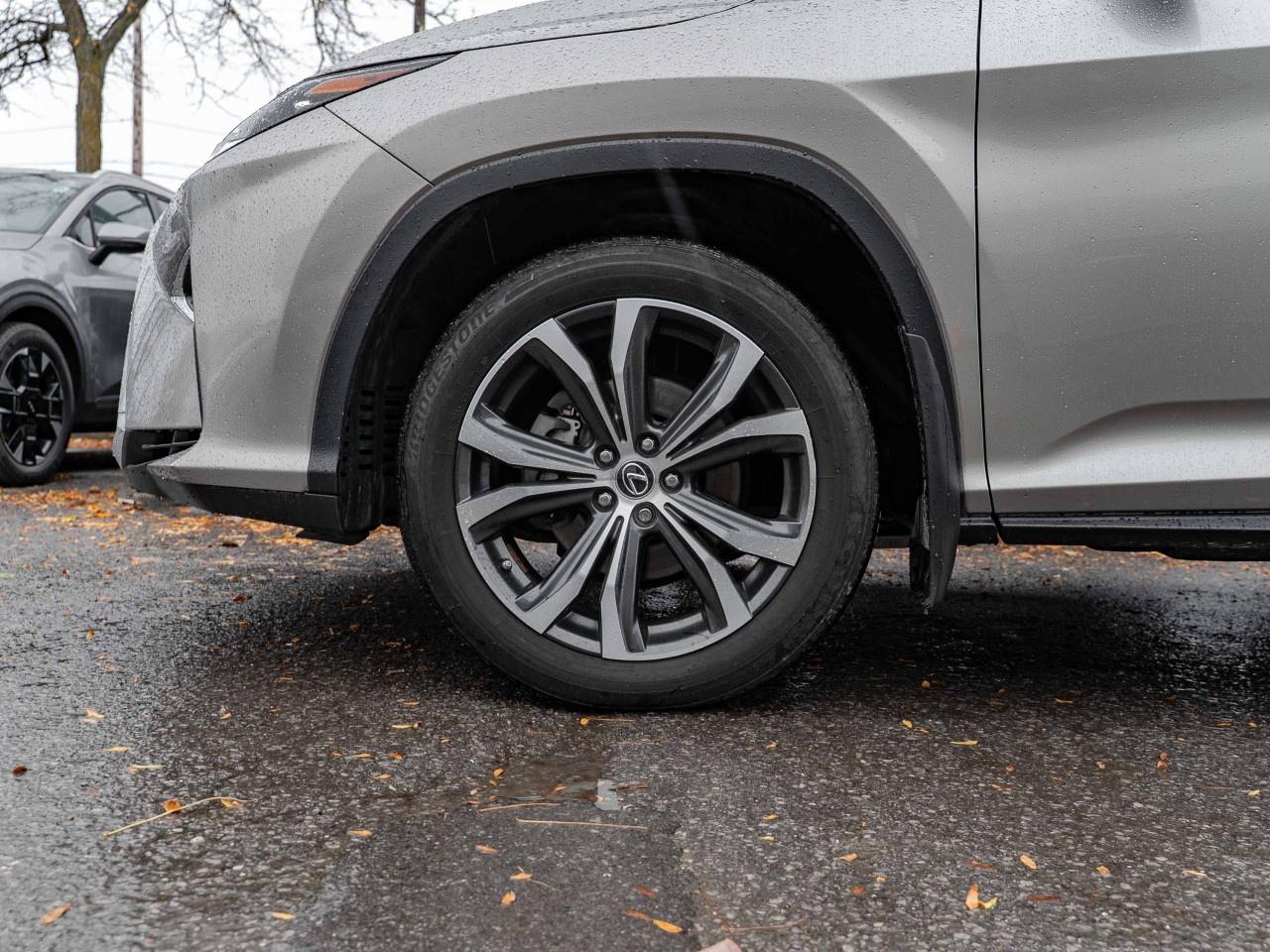 2019 Lexus RX  Photo