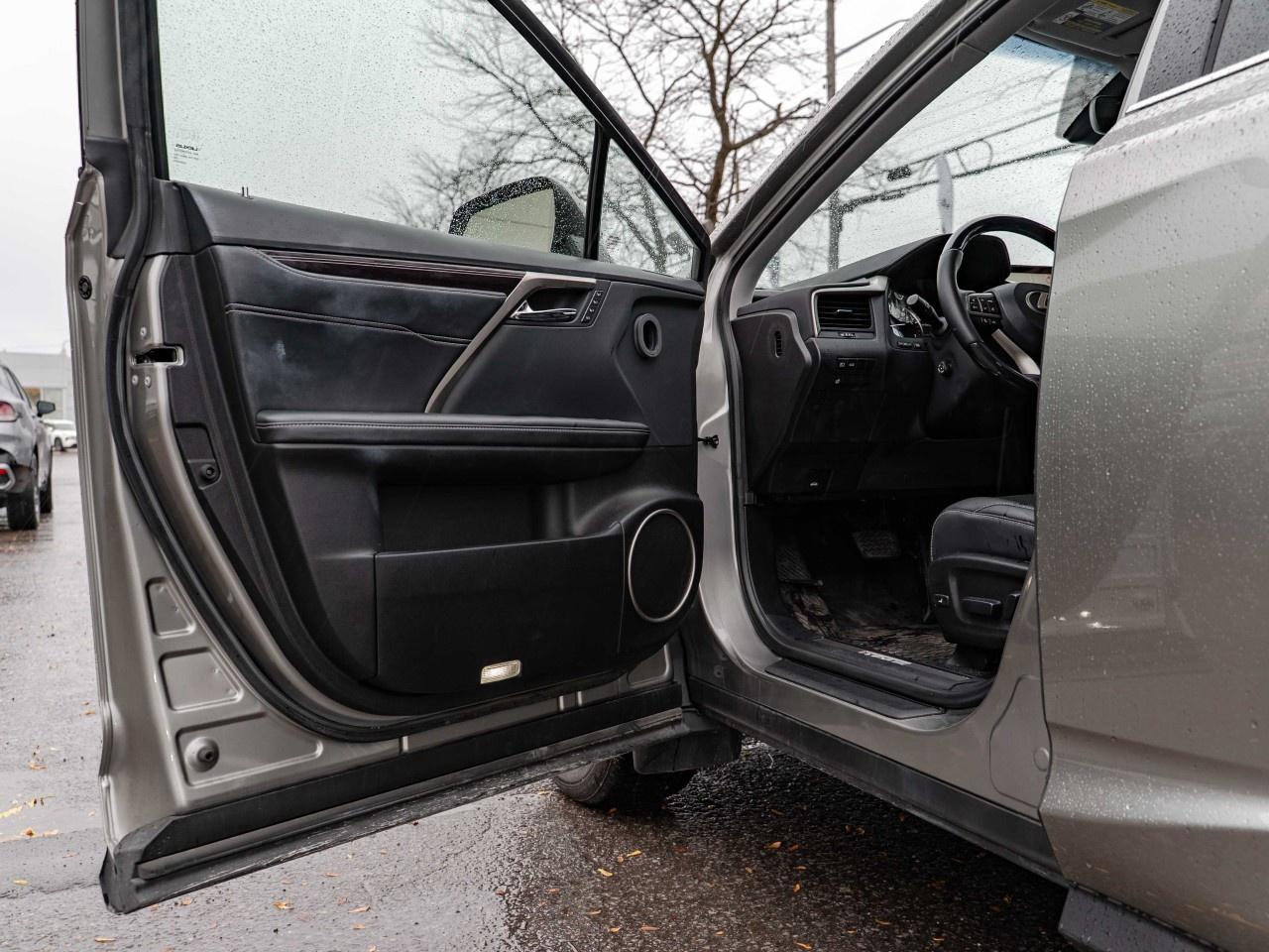 2019 Lexus RX  Photo