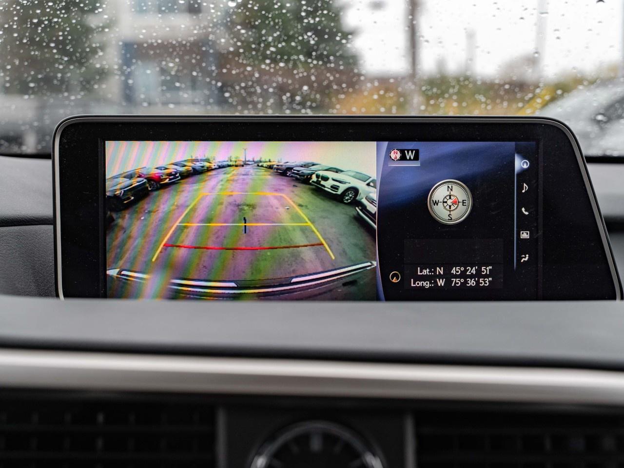 2019 Lexus RX  Photo