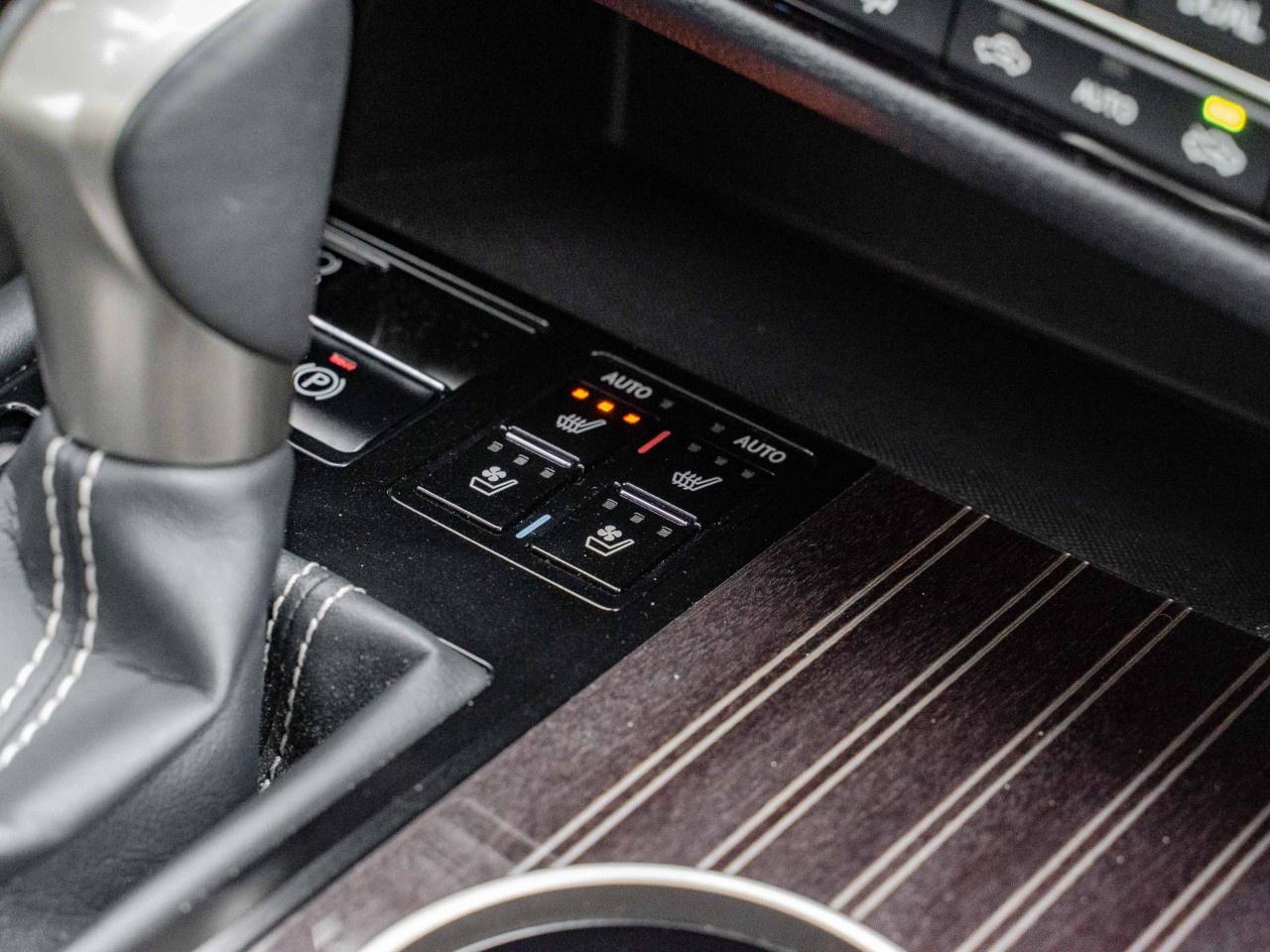 2019 Lexus RX  Photo