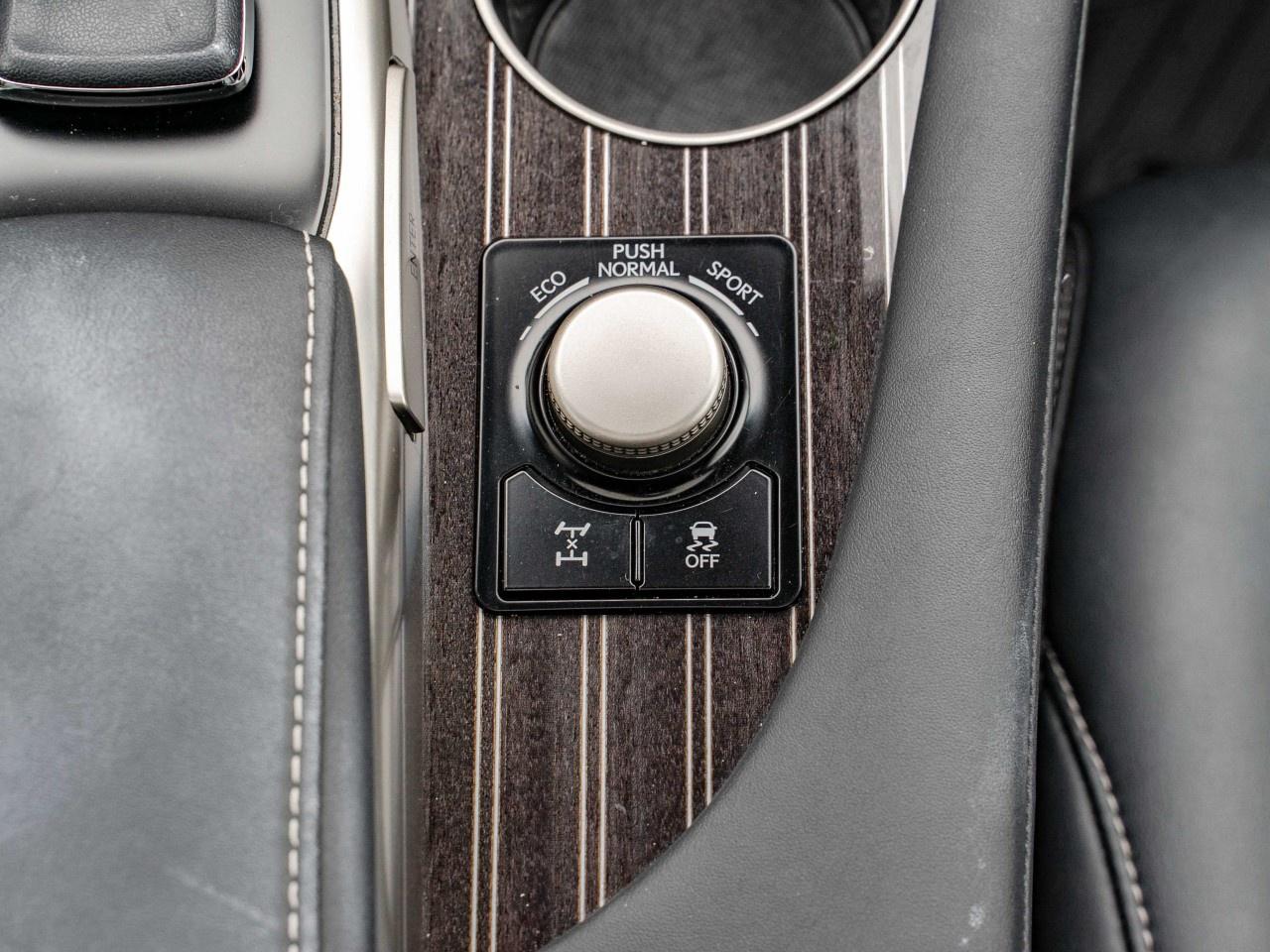 2019 Lexus RX  Photo