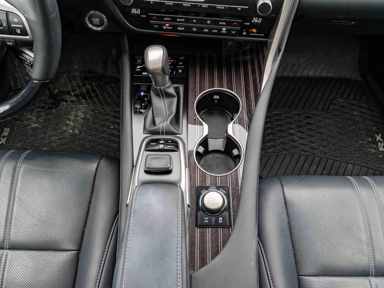 2019 Lexus RX  Photo