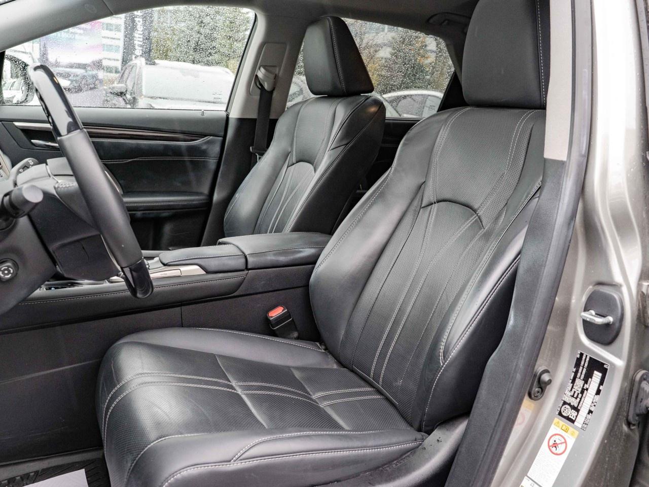 2019 Lexus RX  Photo