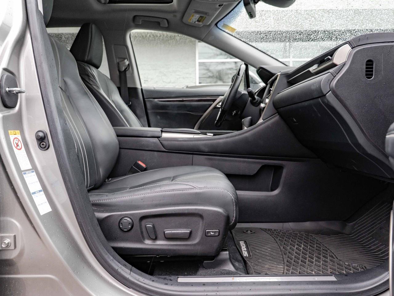 2019 Lexus RX  Photo