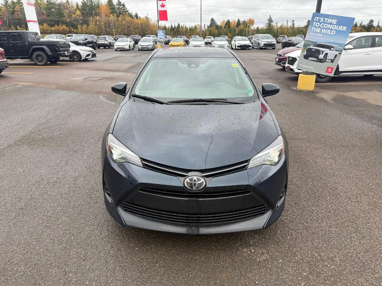 2019 Toyota Corolla  Photo1