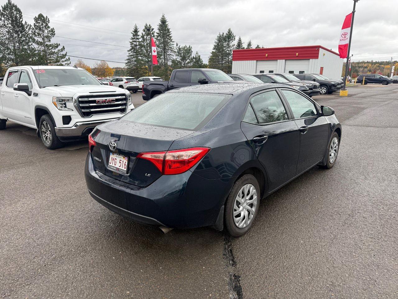 2019 Toyota Corolla  Photo4