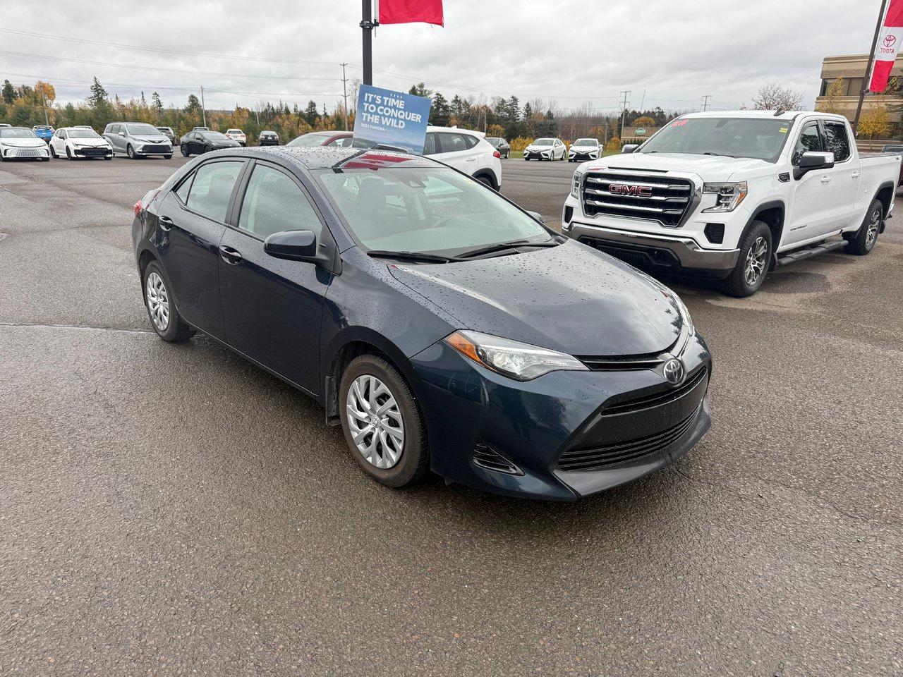 2019 Toyota Corolla  Photo2