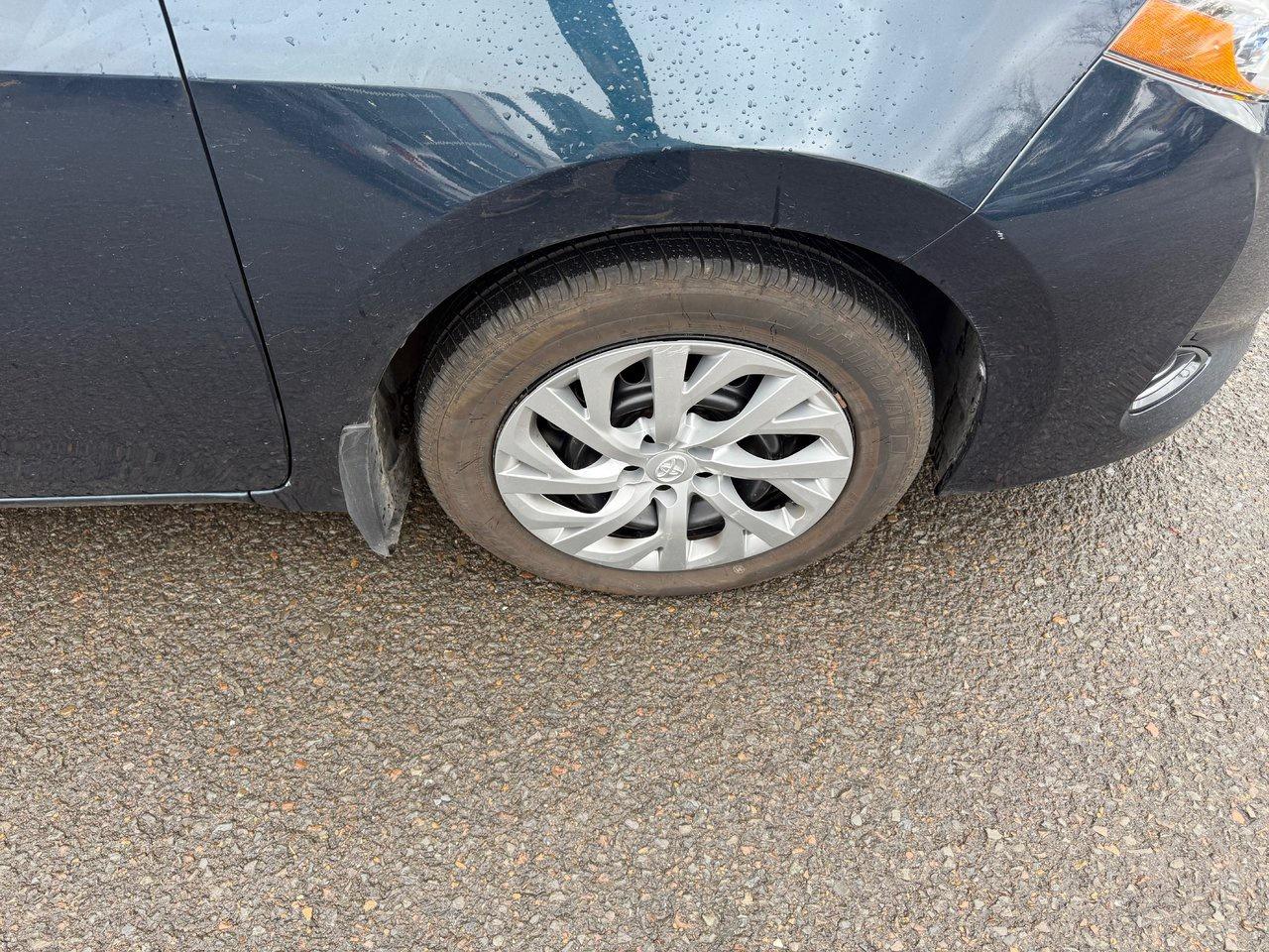 2019 Toyota Corolla  Photo3