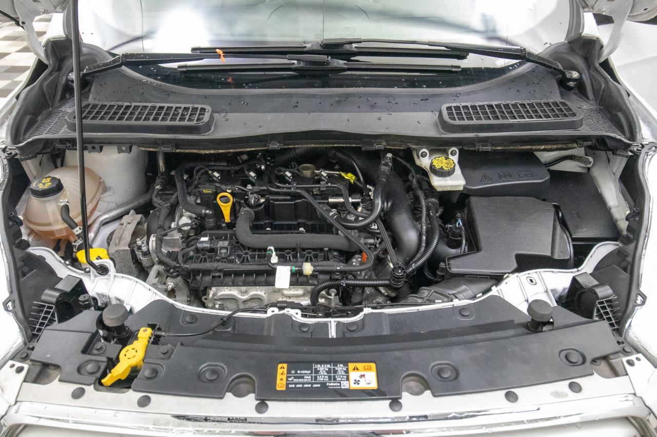 2019 Ford Escape SE Photo5