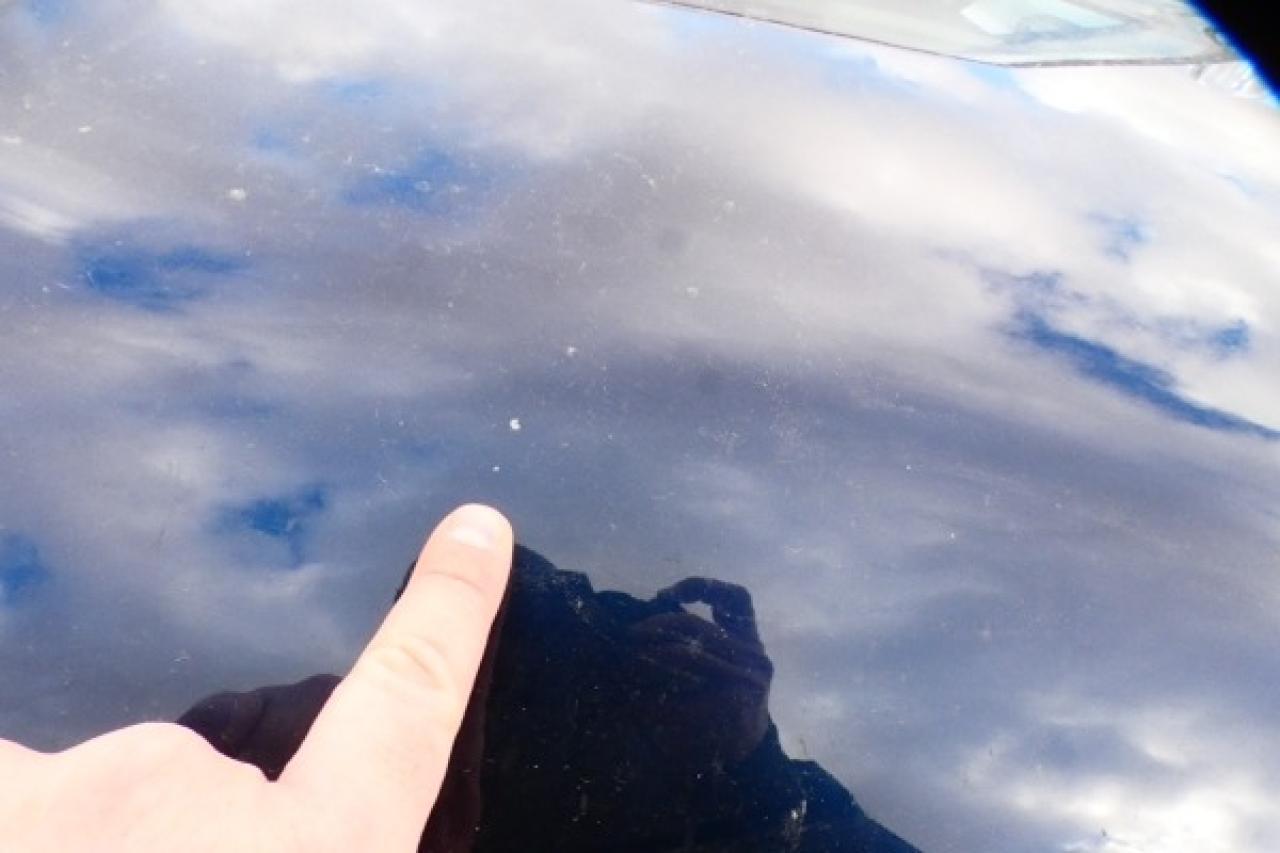 2023 Nissan Armada Platinum 4X4 w/H&C Leather, S/R, NAV, BUC - Photo #29