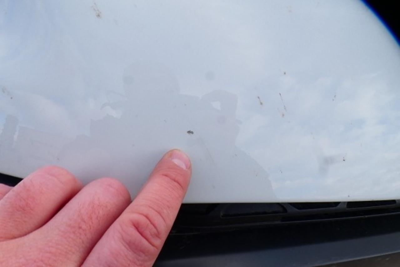 2023 Ford F-150 Tremor 4WD SuperCrew 5.5' w/Htd L.wrap, NAV, BUC - Photo #23