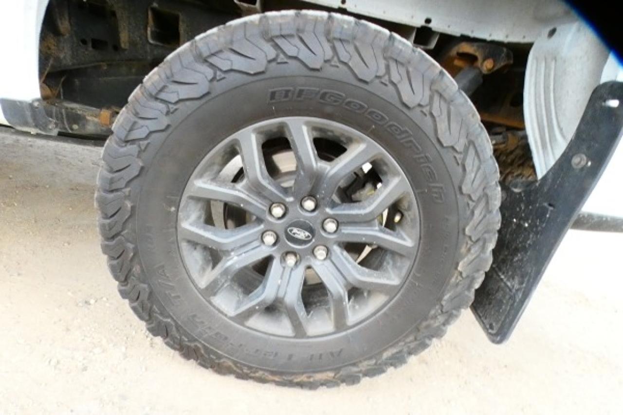 2023 Ford F-150 Tremor 4WD SuperCrew 5.5' w/Htd L.wrap, NAV, BUC - Photo #19