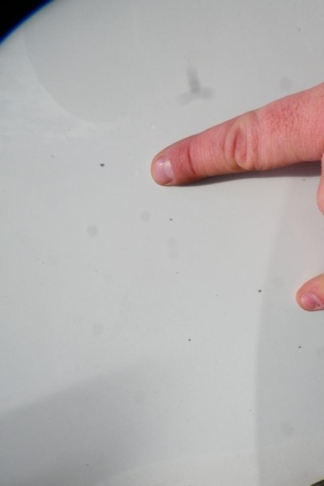 2021 Chevrolet Silverado 1500 RST Z71 w/Htd cloth, BUC - Photo #23