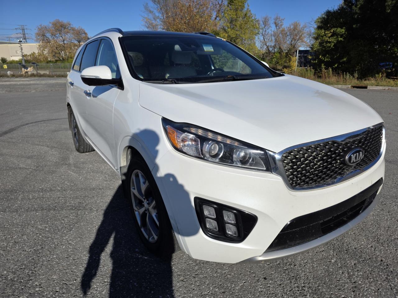 2017 Kia Sorento Limited V6 AWD - Photo #8