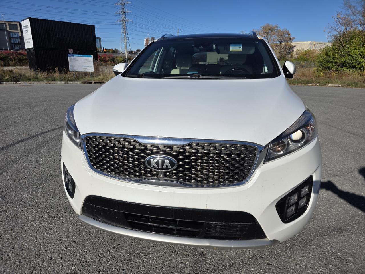 2017 Kia Sorento Limited V6 AWD - Photo #10