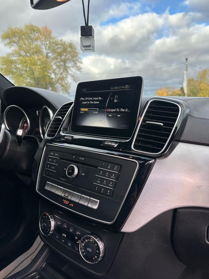 2017 Mercedes-Benz GLS GLS 450 Photo