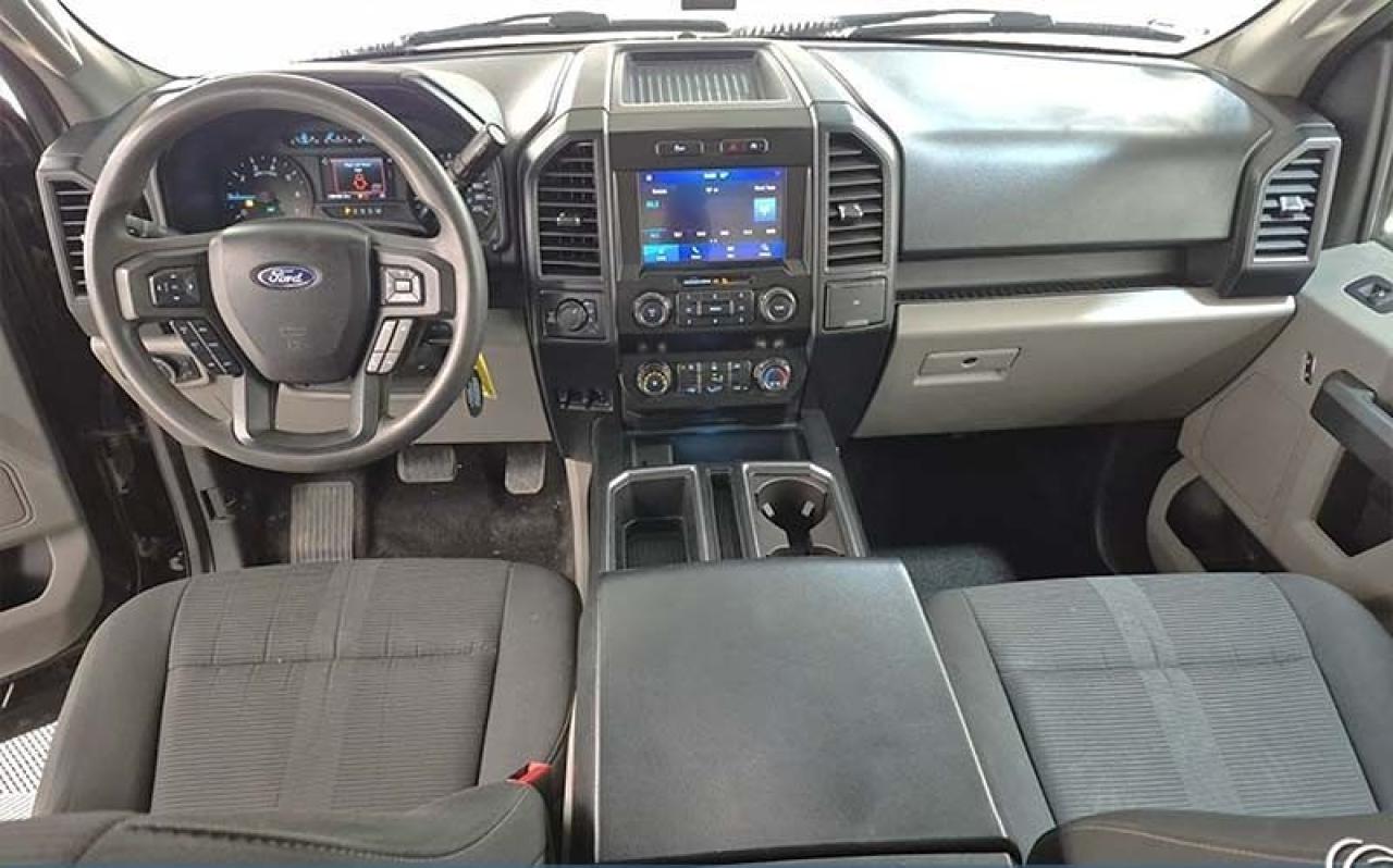 2019 Ford F-150 XL - Photo #3