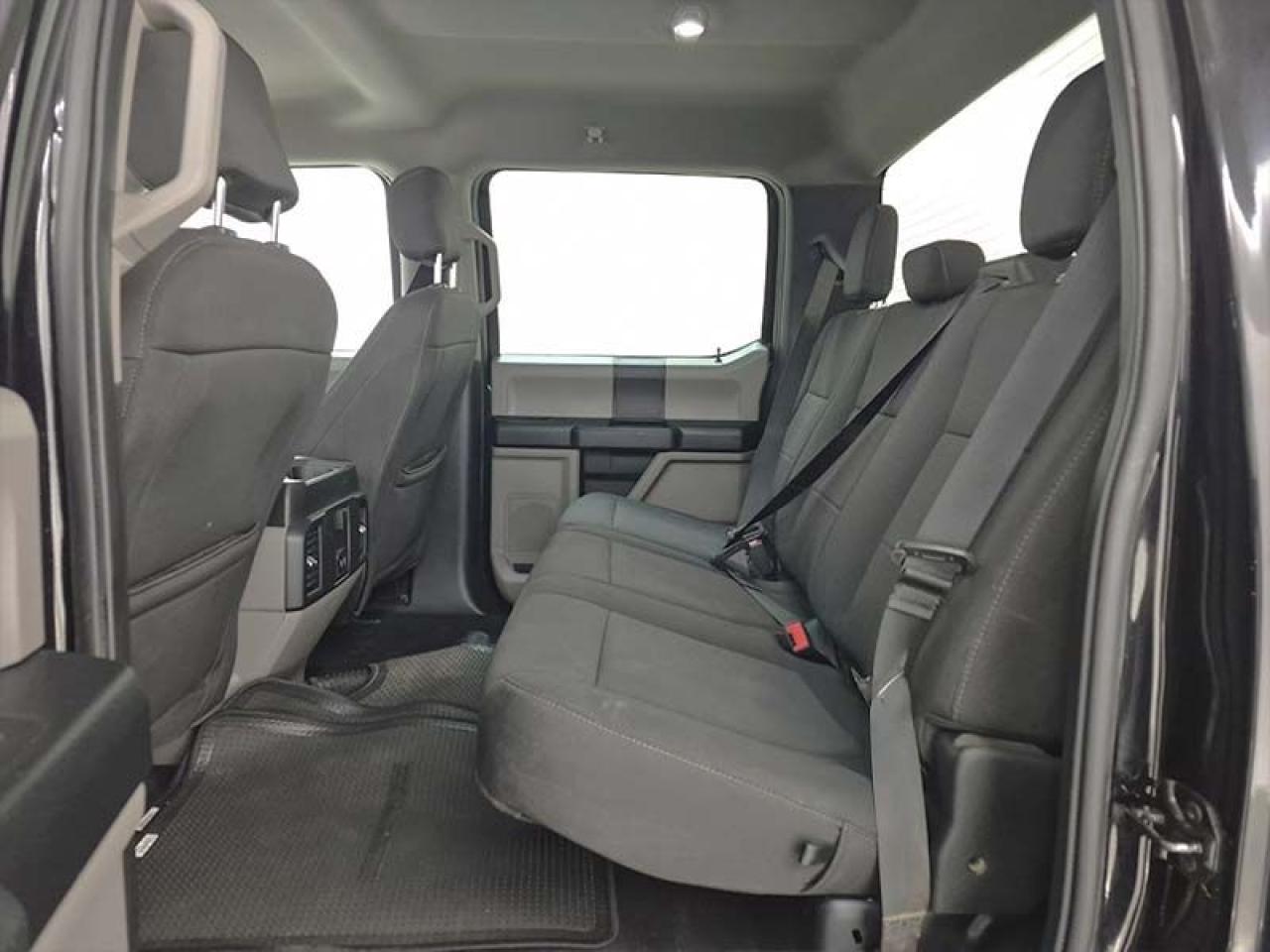 2019 Ford F-150 XL - Photo #5