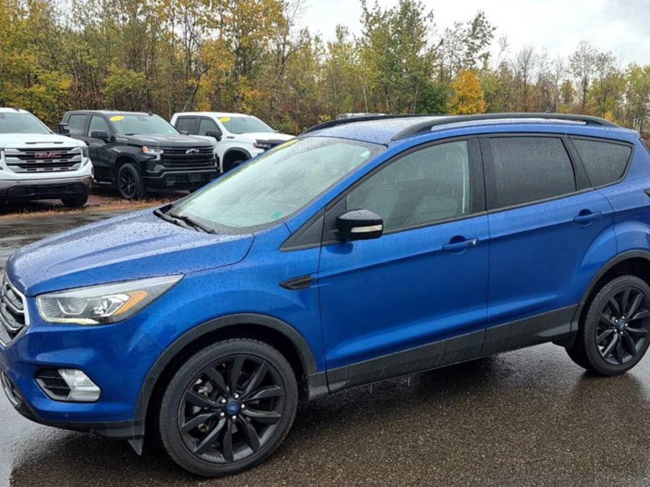 Used 2019 Ford Escape Titanium 4WD | Tow Pkg | Leather | Pano Roof | Sport Appearance Pkg | Nav | Heated Seats | and More! for sale in Guelph, ON