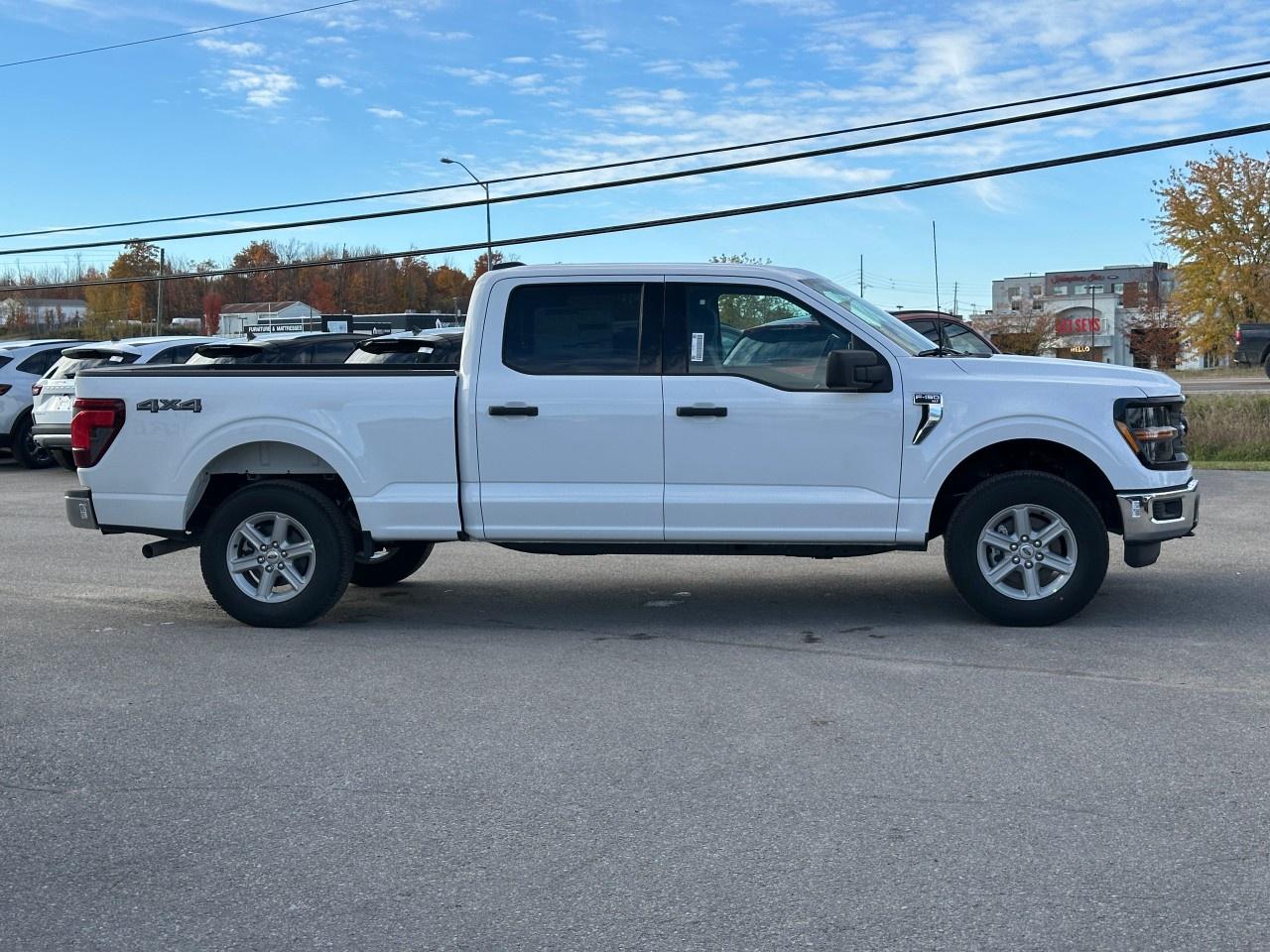 2025 Ford F-150 XLT 4WD SuperCrew 6.5' Box Photo4