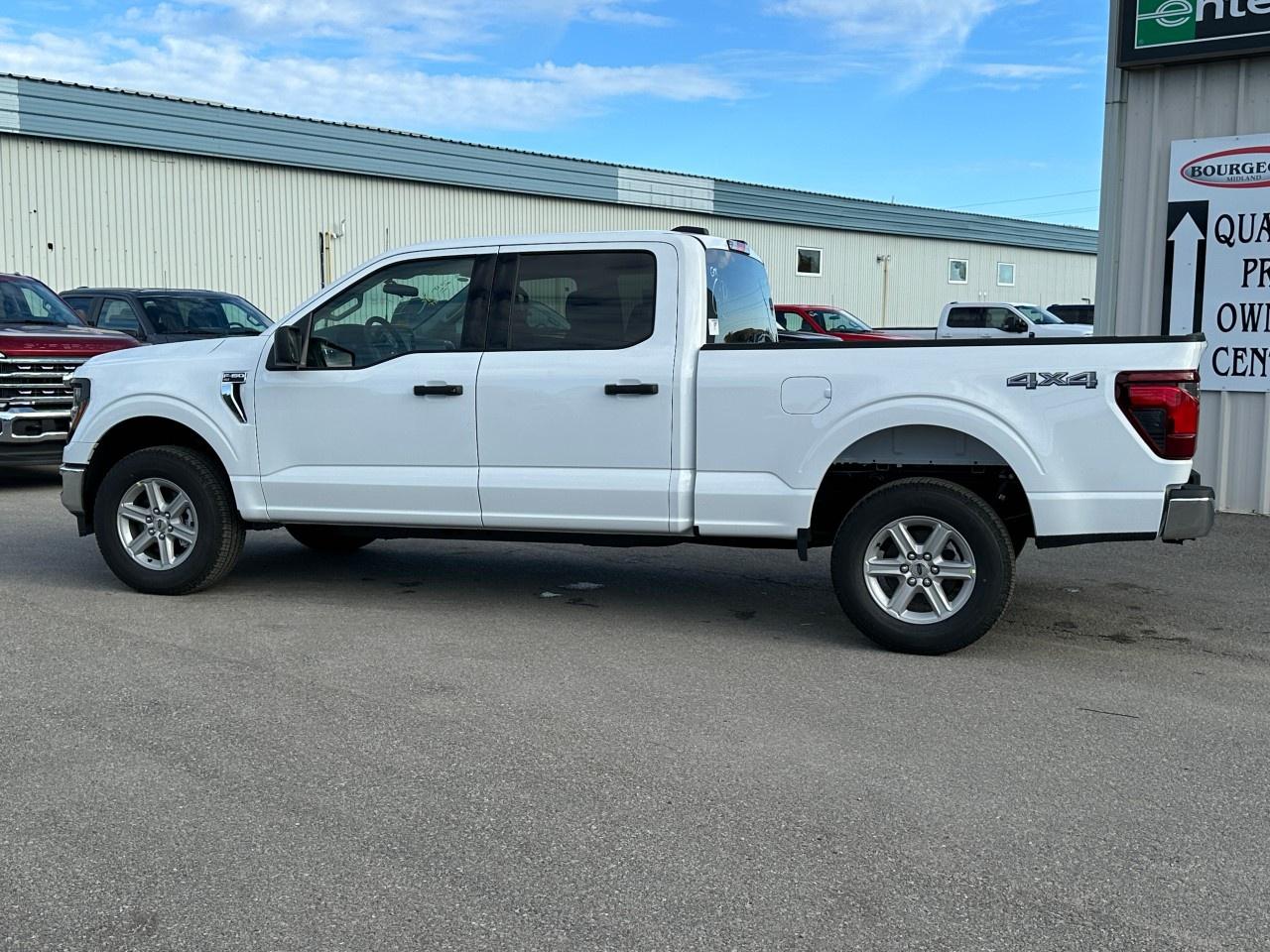 2025 Ford F-150 XLT 4WD SuperCrew 6.5' Box Photo