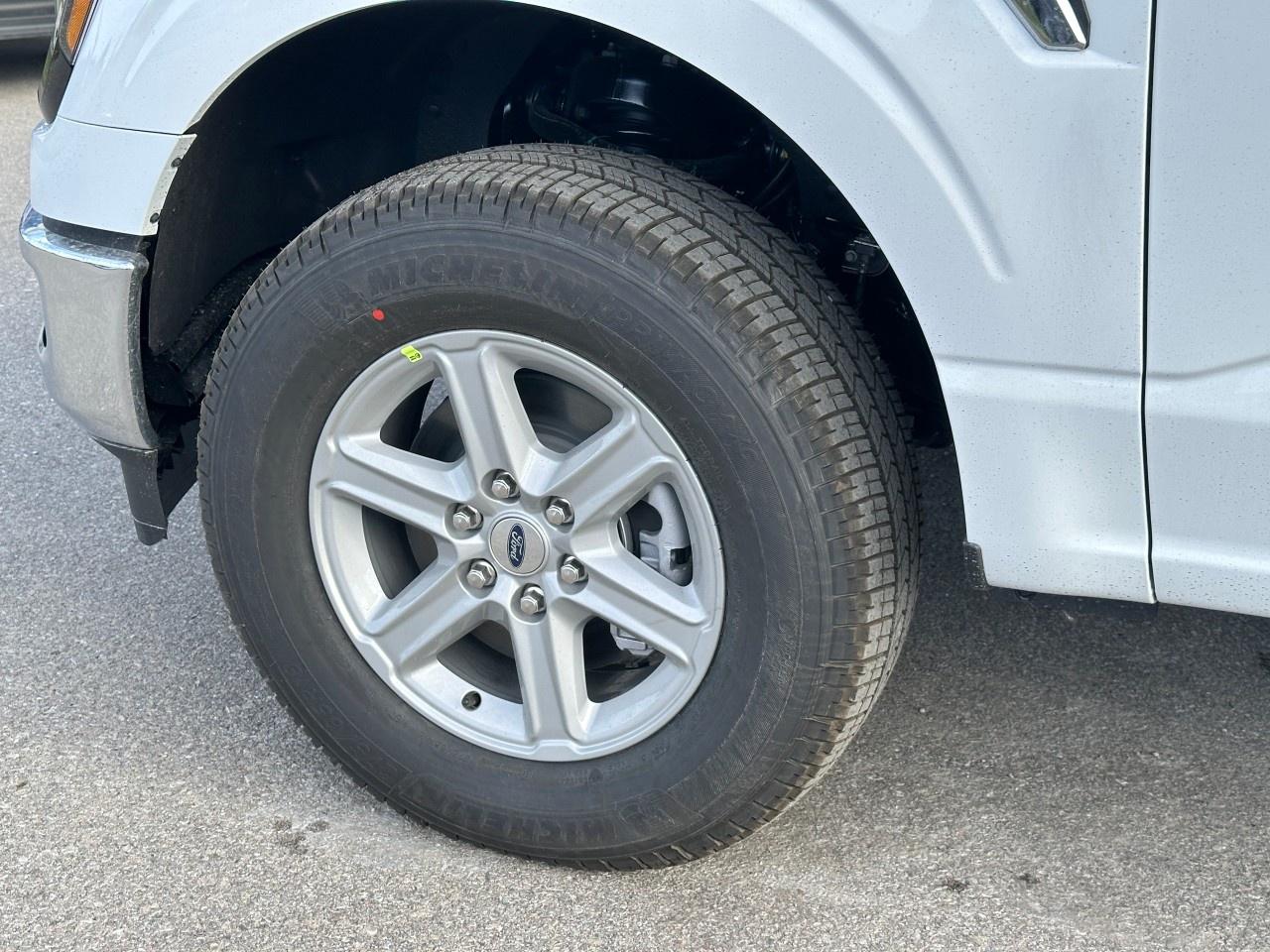 2025 Ford F-150 XLT 4WD SuperCrew 6.5' Box Photo