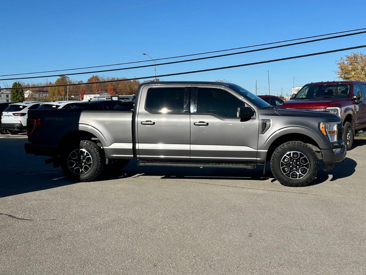 2021 Ford F-150 XLT 4WD SuperCrew 6.5' Box Photo4