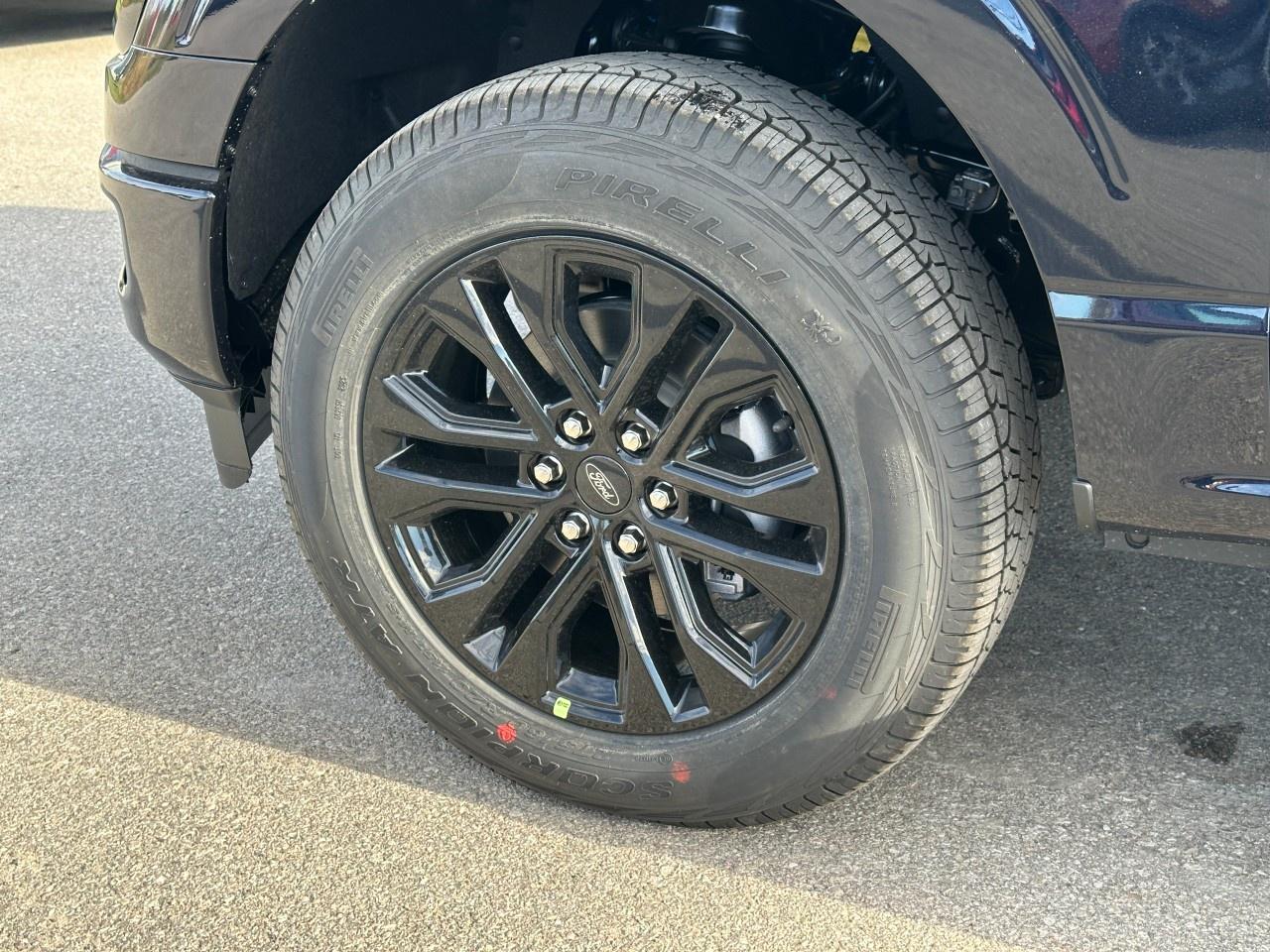 2025 Ford F-150 XLT 4WD SuperCrew 5.5' Box Photo