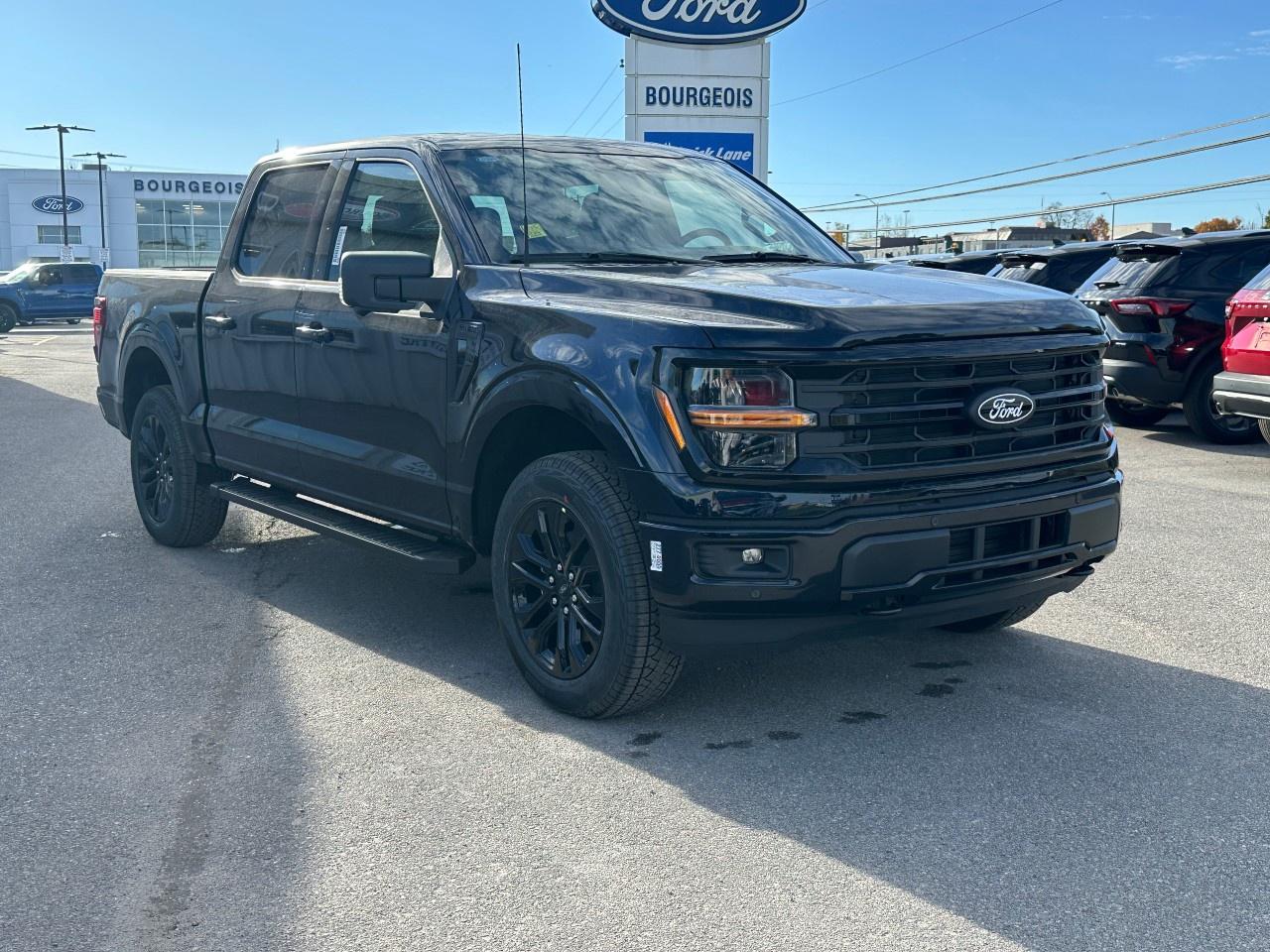 2025 Ford F-150 XLT 4WD SuperCrew 5.5' Box Photo3