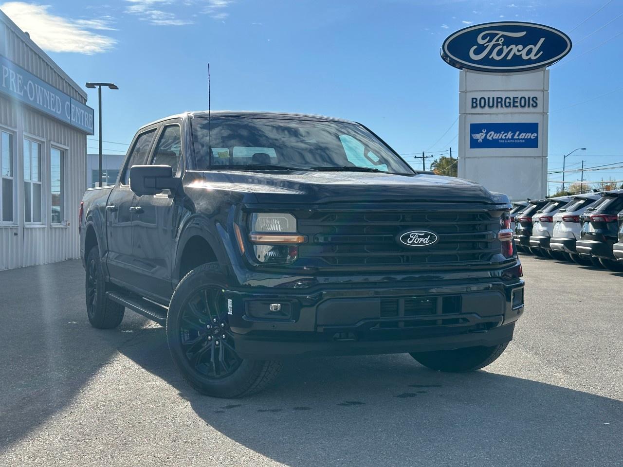 2025 Ford F-150 XLT 4WD SuperCrew 5.5' Box Photo0