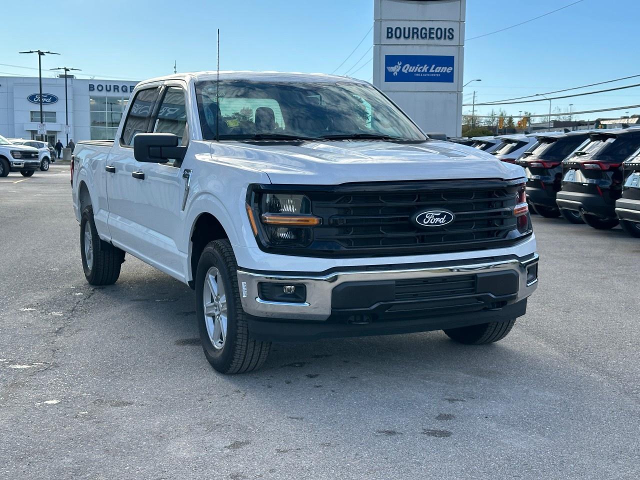 2025 Ford F-150 XLT 4WD SuperCrew 6.5' Box Photo3