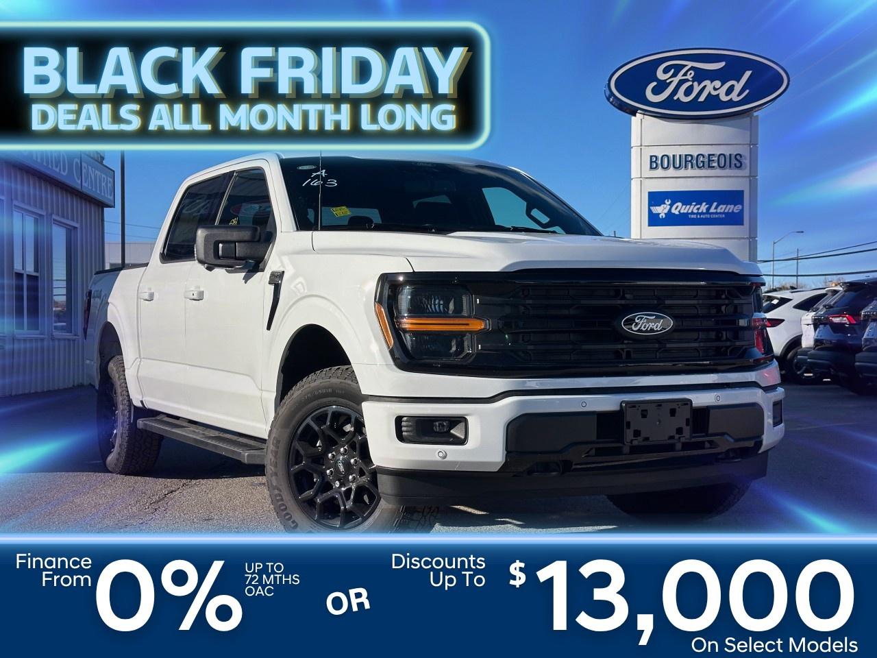 2025 Ford F-150 XLT 4WD SuperCrew 5.5' Box Photo0