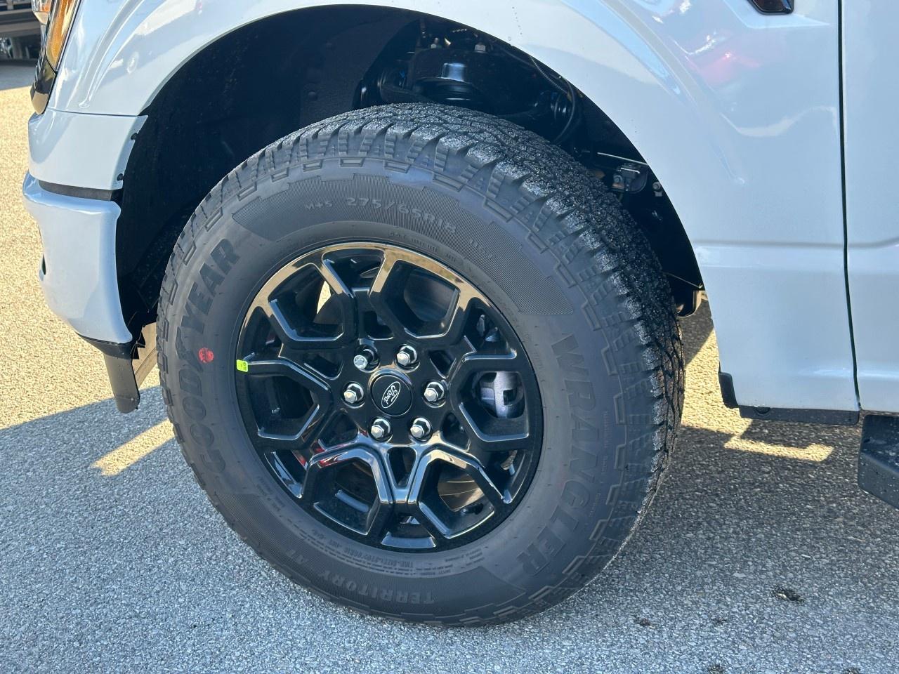 2025 Ford F-150 XLT 4WD SuperCrew 5.5' Box Photo