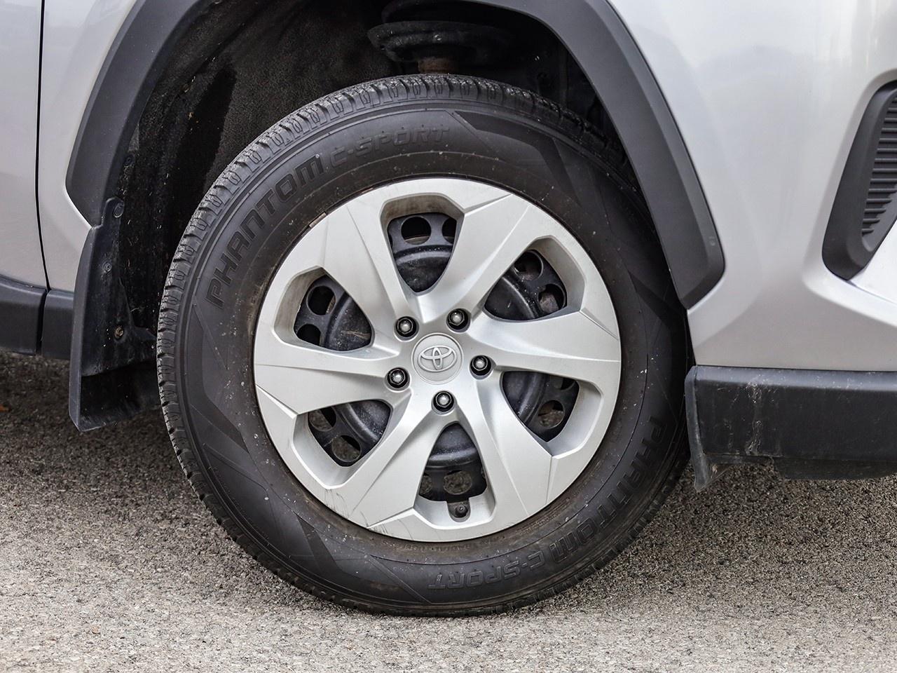 2023 Toyota RAV4 LE Photo