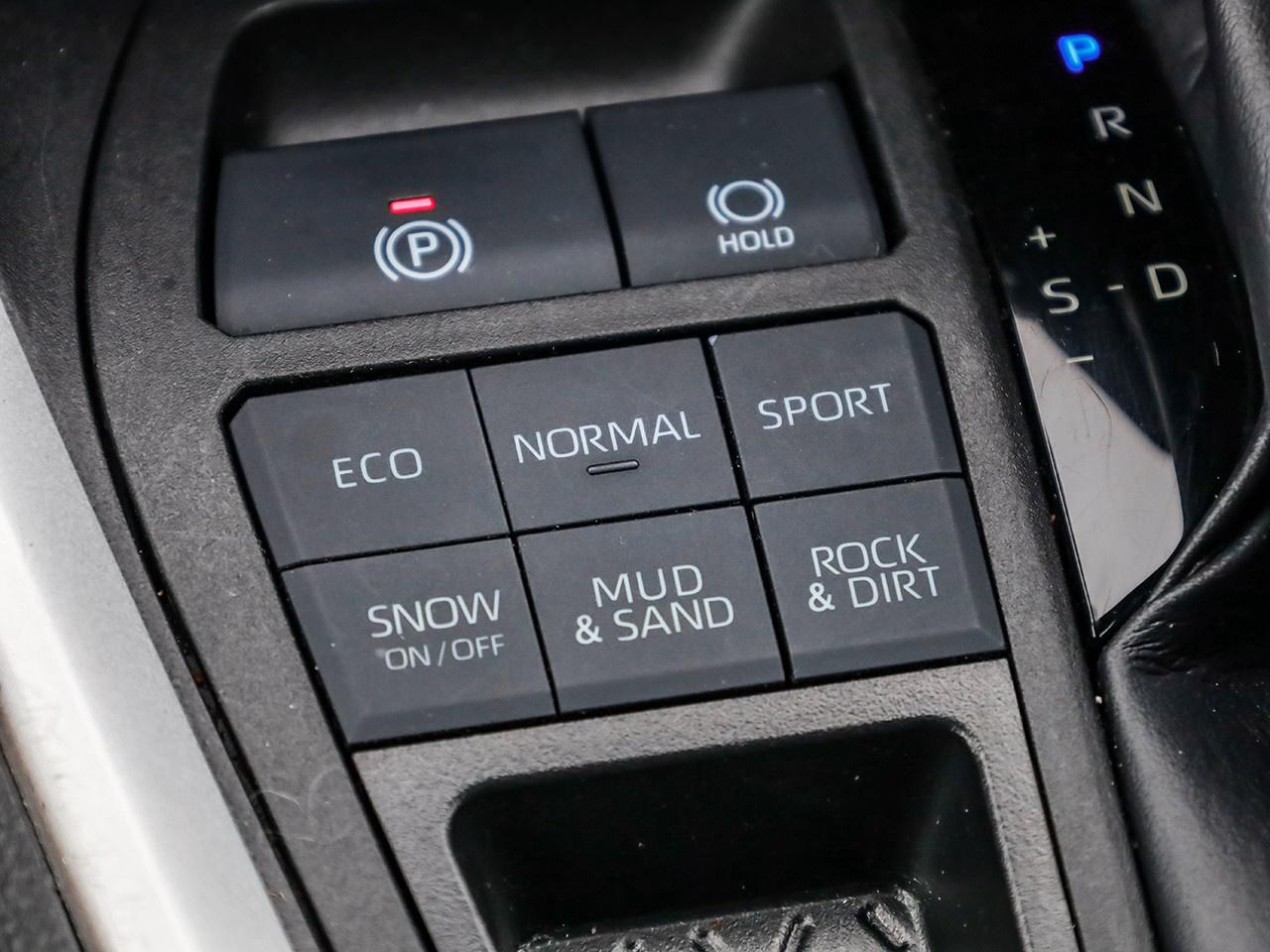 2023 Toyota RAV4 LE Photo