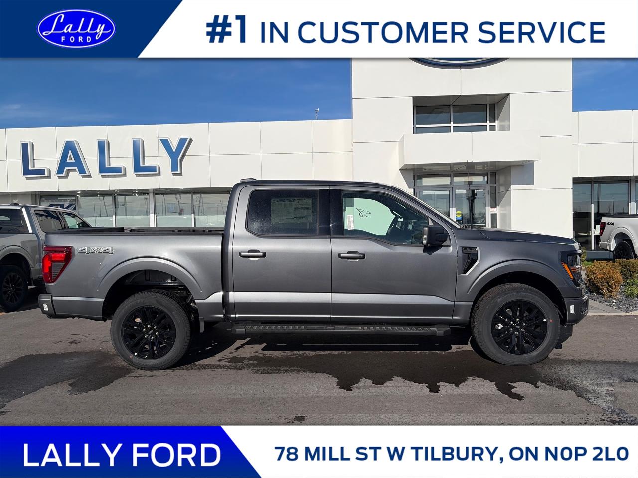 2025 Ford F-150 XLT Photo