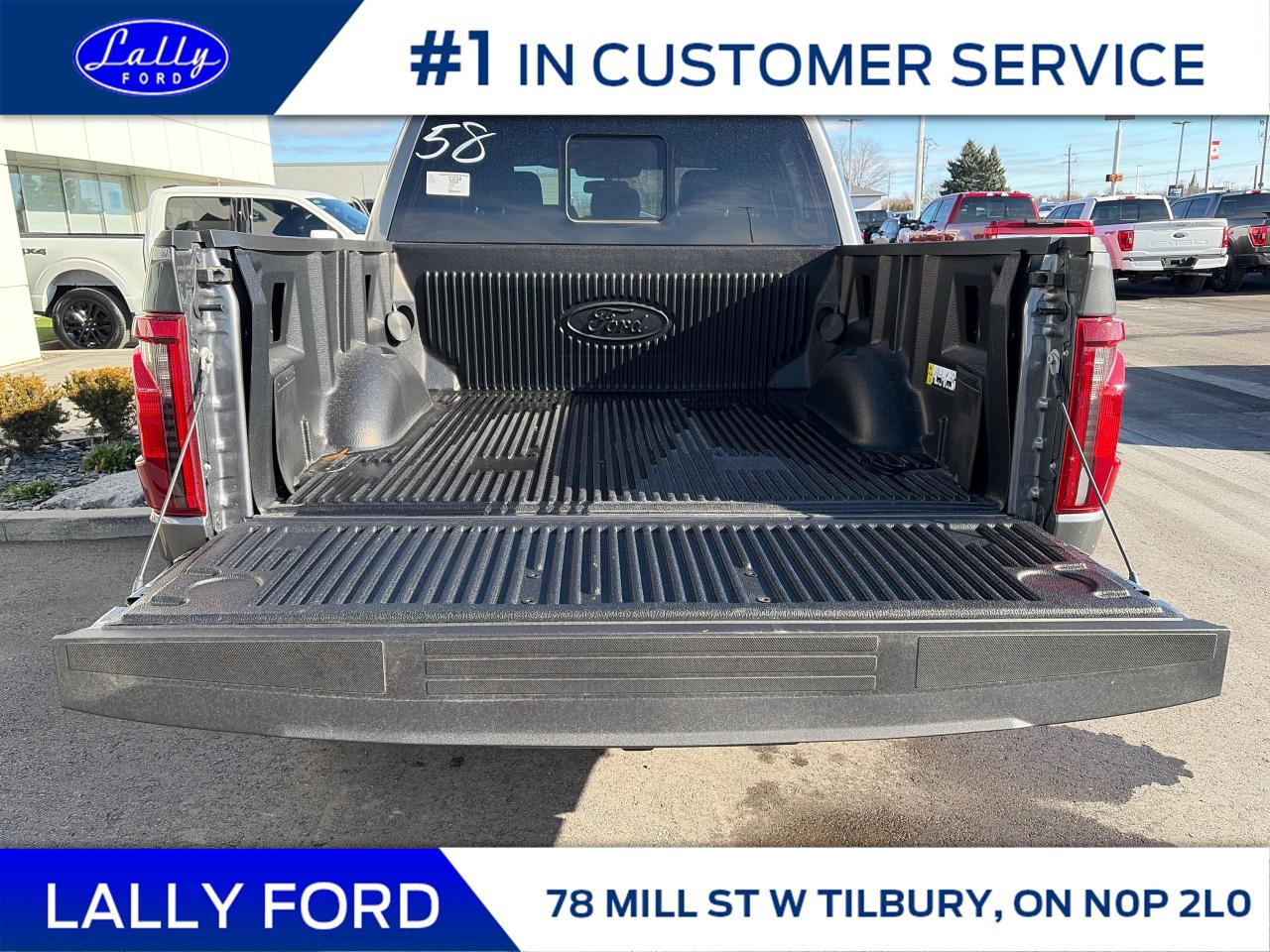 2025 Ford F-150 XLT Photo4